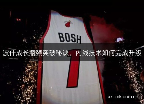 波什成长瓶颈突破秘诀,内线技术如何完成升级 波什成长瓶颈突破秘诀,内线技术如何完成升级